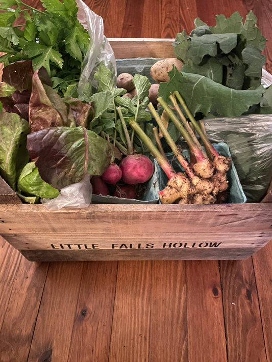 2026 Vegetable CSA (Early Bird Special)