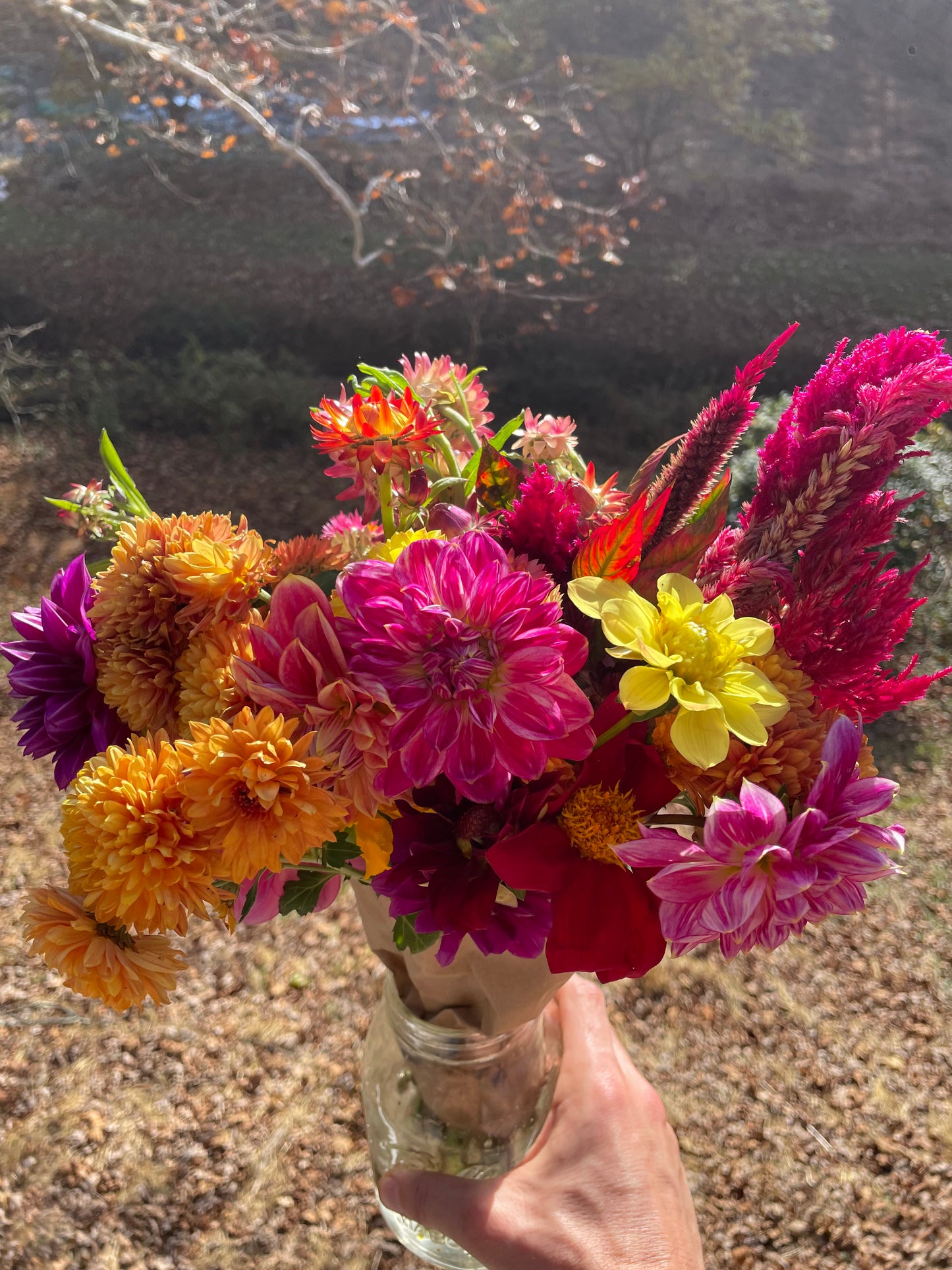 2026 Flower CSA - (Spring/Early Summer Only)