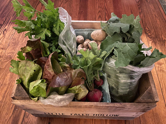 2026 Vegetable CSA (Spring/Early Summer only)