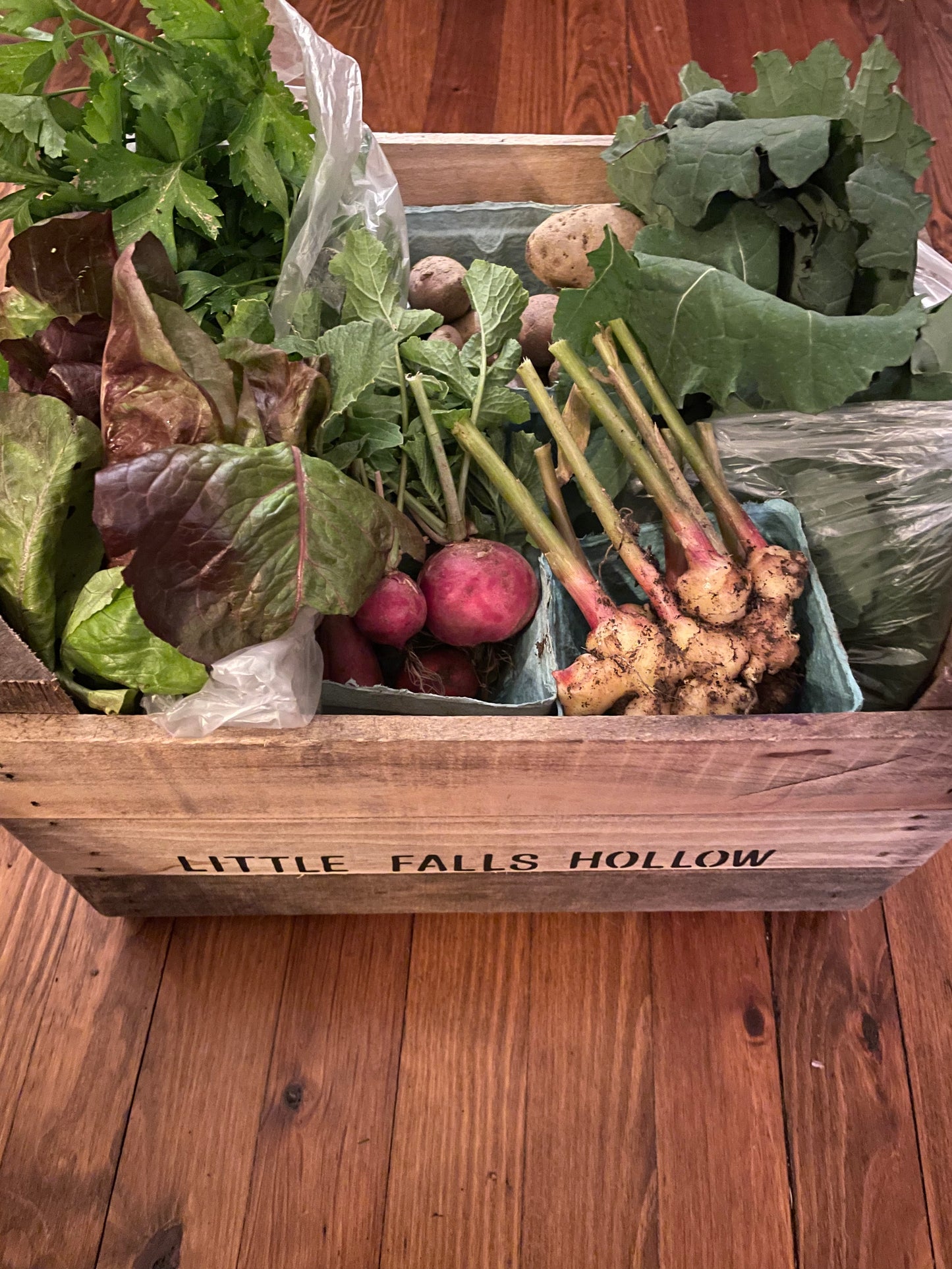 2026 Vegetable CSA (Early Bird Special)